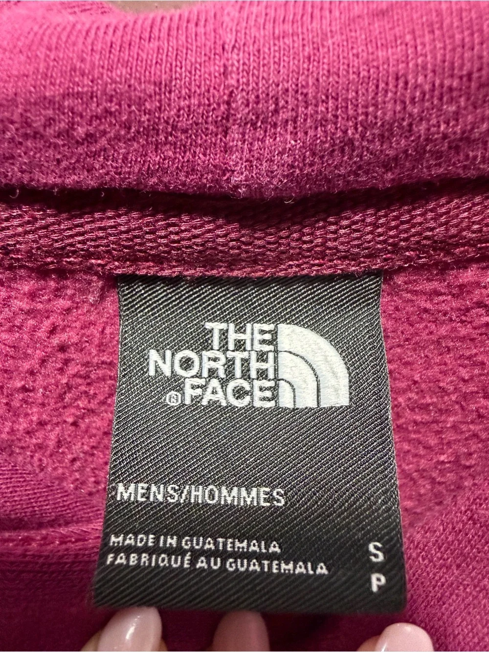 The North Face Men's Plum Pullover Hoodie with White Logo